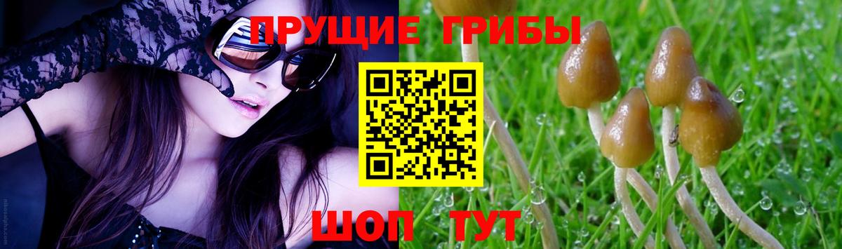 Псилоцибиновые грибы мухоморы Углич